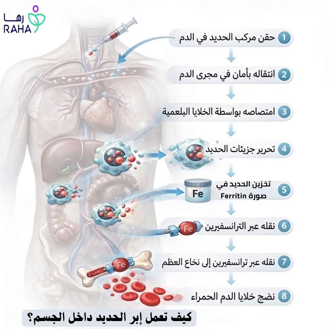 كيف تعمل إبر الحديد داخل الجسم؟